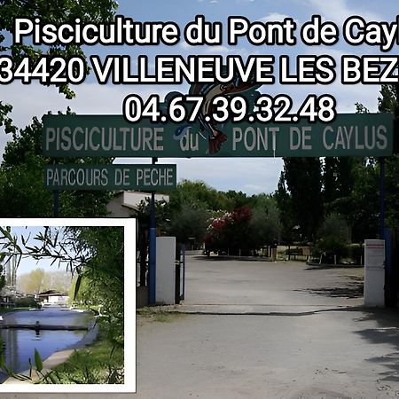 Tiny House 3 Personnes Soeursgrises Beziers Centre Historique Coeur De L'Herault Capitale D'Occitanie Εξωτερικό φωτογραφία